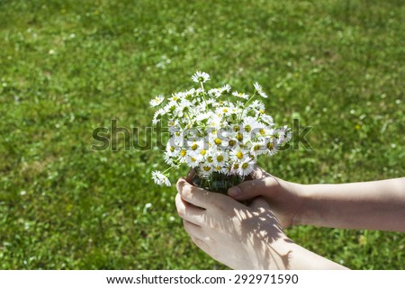 Children\'s hands with a bunch of flowers in them on green grass background.