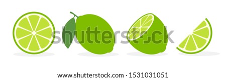 Vector lime slice green illustration lemon isolated half fruit lime. Fresh green cut citrus icon.
