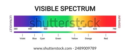 Visible spectrum color wavelength uv gamma vector illustration. Visible light spectrum science diagram
