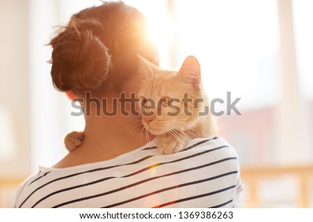 Similar – Image, Stock Photo unrecognizable young owner woman and her cute jack russell dog sitting at sunset outdoors