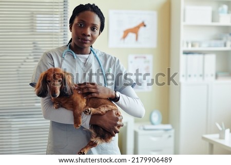 Similar – Image, Stock Photo Female veterinarian doctor is holding a cat on her hands