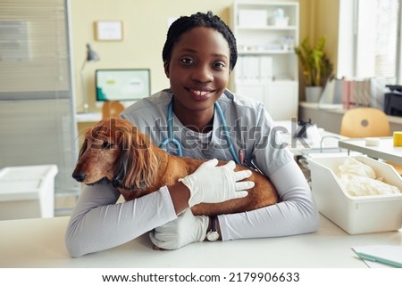 Image, Stock Photo Female veterinarian doctor is holding a cat on her hands