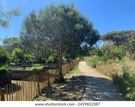 Image, Stock Photo Wooden path alongside the Vintgar Gorge