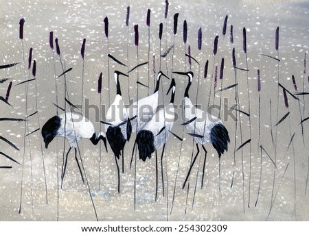 family of cranes in the reeds