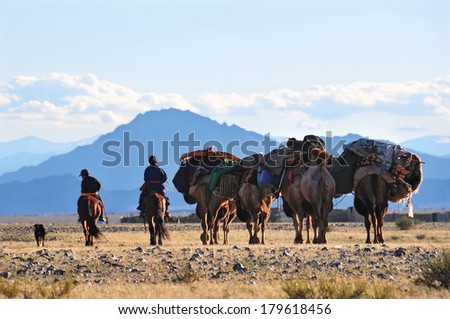 Caravan of camels transporting dismantled tent of Mongolian nomads to a new location