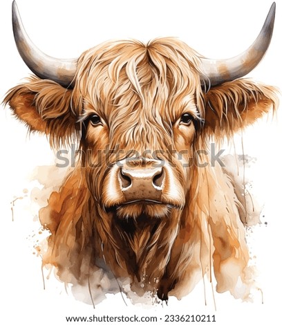 Watercolour painting of a cute highland cow head vector