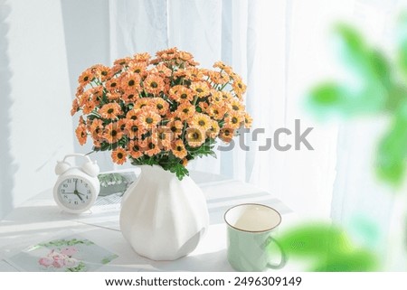 Similar – Foto Bild Orangefarbene Chrysanthemenblüten