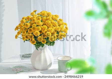 Foto Bild Orangefarbene Chrysanthemenblüten