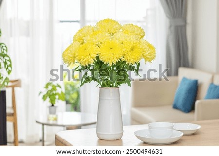 Similar – Image, Stock Photo Yellow chrysanthemum bouquet on yellow background. Copy space