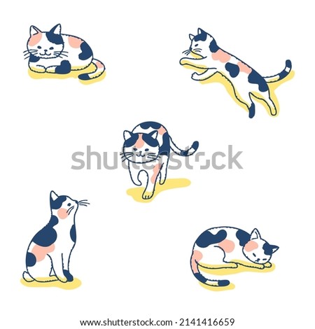 Set of cats in different poses