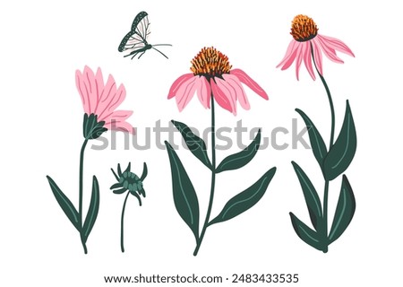 Similar – Image, Stock Photo The purple coneflower