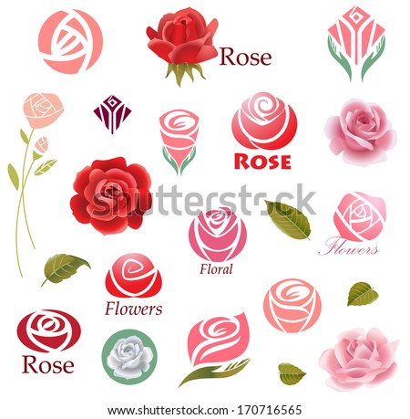 Set of rose flower design elements 
