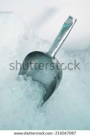 Ice Scoop in Ice Buckets.