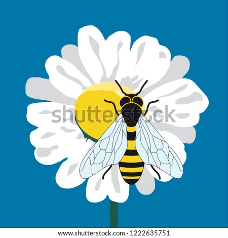 Color vector illustration with a bee foraging a flower to promote quality honey.sw
