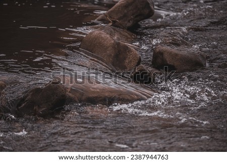 Similar – Image, Stock Photo Direct current Beach Ocean