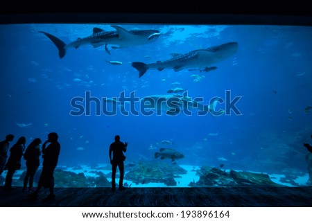 People observing fish at the aquarium 2