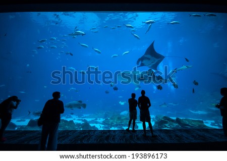 People observing fish at the aquarium 3