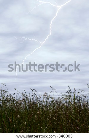 Storm Sky With Lighting Over Tall Grass.
