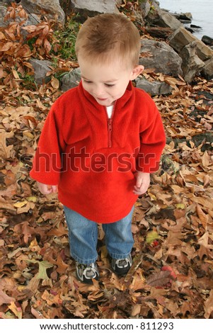 Happy one year old boy in red sweater walking in leaves.