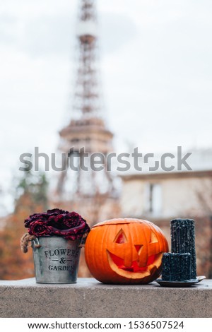 Shutterstock Puzzlepix