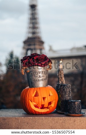 Shutterstock Puzzlepix