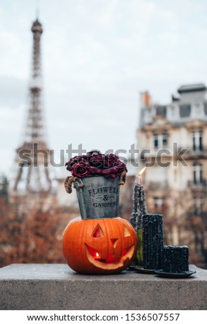 Shutterstock Puzzlepix