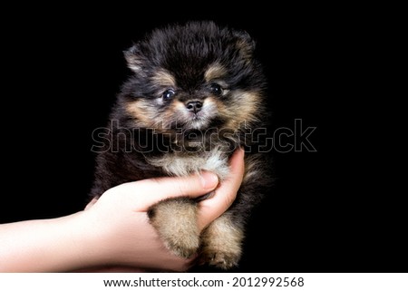 Shutterstock Puzzlepix Shutterstock Puzzlepix