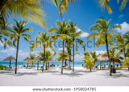Palm Beach Aruba Caribbean, white long sandy beach with palm trees at Aruba Antilles