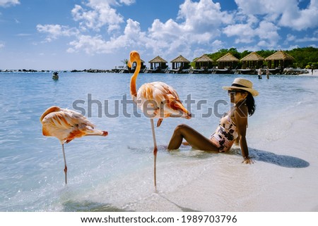 Aruba beach with pink flamingos at the beach, flamingo at the beach in Aruba Island Caribbean. A colorful flamingo at the beachfront, woman on the beach 
