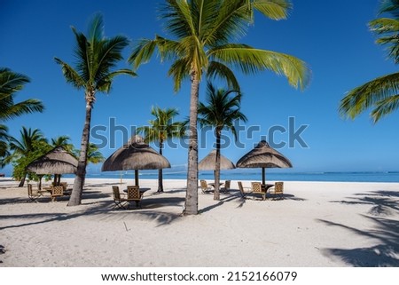 Le Morne beach Mauritius Tropical beach with palm trees and white sand blue ocean and beach beds with umbrellas, sun chairs, and parasols under a palm tree at a tropical beach. Mauritius Le Morne Photo stock © 