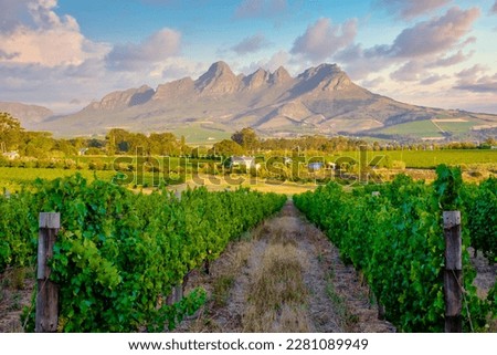 Foto Bild Franschhoek Südafrika