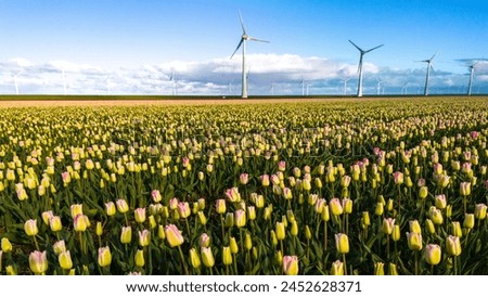 Similar – Image, Stock Photo bee perspective tulips