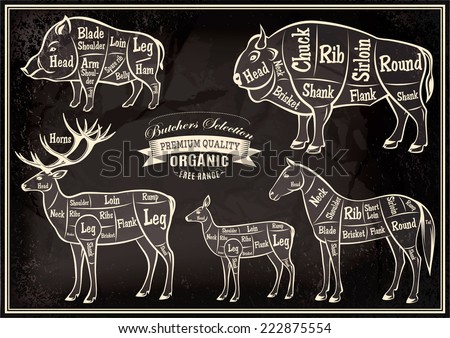 vector diagram cut carcasses of boar, bison, deer, horse