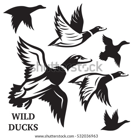 Flying Duck Silhouette | Free download on ClipArtMag