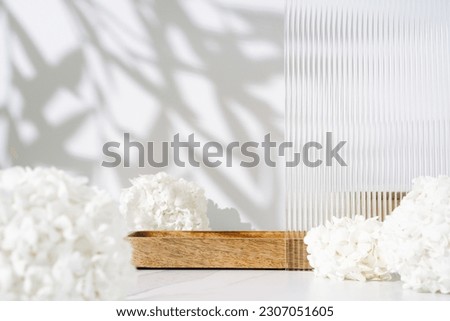 Similar – Image, Stock Photo Summer lilac in front of a bright blue sky in summer.garden