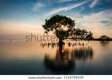 Shutterstock Puzzlepix