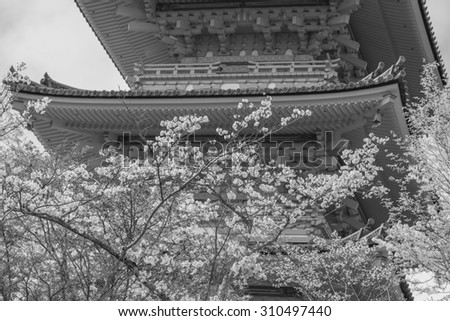 Kyoto, Japan at Kiyomizu-dera Temple in the spring ,black and white