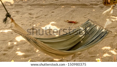 Hammock hanging under tree's shadow above sand ground on the beach
