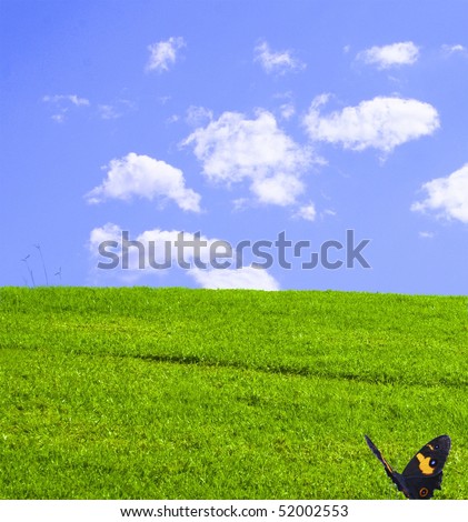 Butterfly resting on Green grassy hill with blue sky and white fluffy clouds in the background