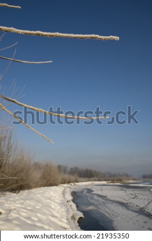 Brands covered with frost (hoar frost or soft rime) on frozen river background. Selective focus on brand