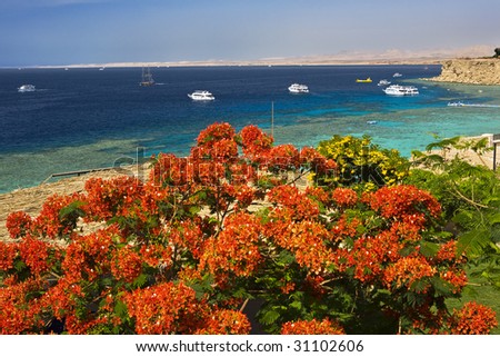 Egypt. Sharm el Sheikh. Hadaba Cliff with one of the loveliest view on Ras Umm Sid