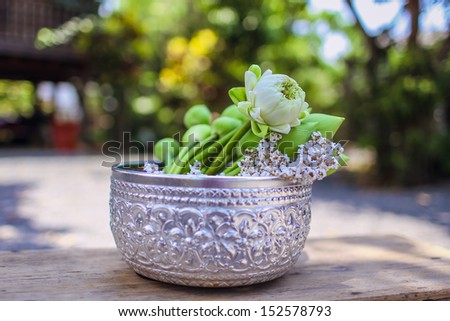 White lotus in monk s bowl for prayer in Buddhist ceremony