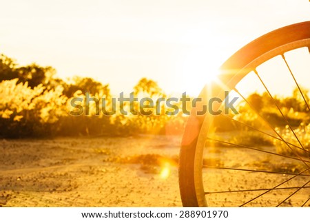 a wheel of bicycle in the evening,the sunset light.