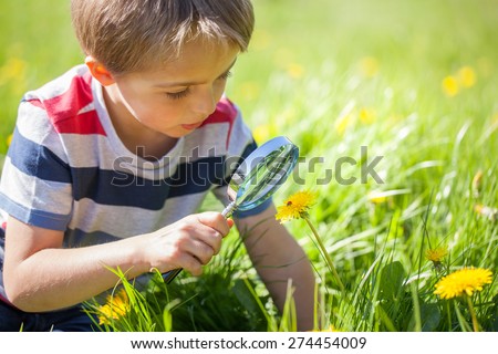 Young boy exploring nature in a meadow with a magnifying glass looking at a ladybird