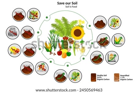 Illustration with major food groups. Save our Soil for all things. Food comes from soil.