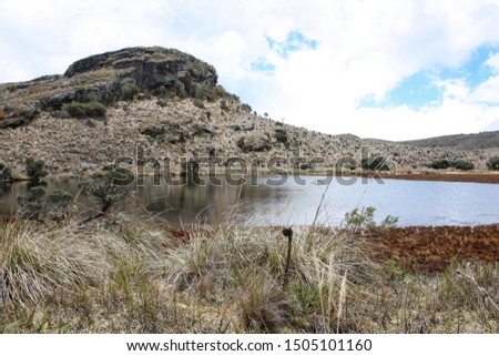 Similar – Foto Bild Landschaft Sumapaz Paramo bei Bogotá. Kolumbien, mit der endemischen Pflanze „Frailejones“ mit See und Felsenberg.  Süd-Amerika, Andengebirge. Trekking, Sportwandern