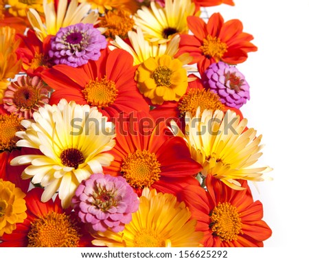 A collection of late summer flowers create a border design against a white background.