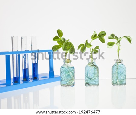Science Vials with Blue Liquid and plant sprouts and a test tube rack against an off white background.