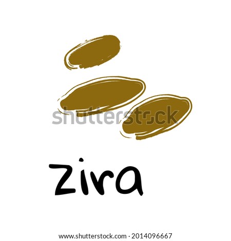 Zira illustration on white background