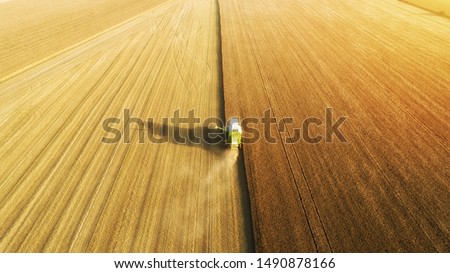 Similar – Image, Stock Photo Grain field from above